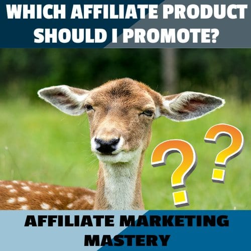 Choosing the right Affiliate Products